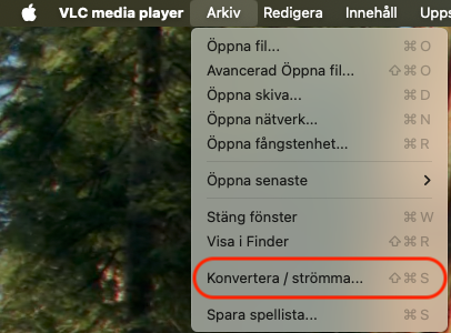 VLC - Choose Convert-Stream - 2024-10-29 kl. 22.46.03